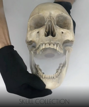 Cargar y reproducir el video en el visor de la galería, The Skull

