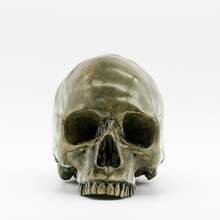 Cargar imagen en el visor de la galería, Bogged Down Skull
