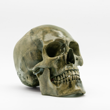 Cargar imagen en el visor de la galería, Bogged Down Skull
